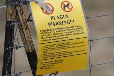 Northern Arizona resident dies from plague