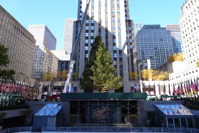 Let the holiday season begin! Rockefeller Center tree lifted into place as crowd looks on: ‘It’s surreal’