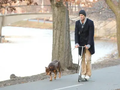 Tom Brady just revealed that his dog Junie is a clone of Lua, his deceased furry friend