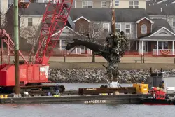 Army helicopter that crashed with commercial plane in DC was flying above altitude limit: NTSB